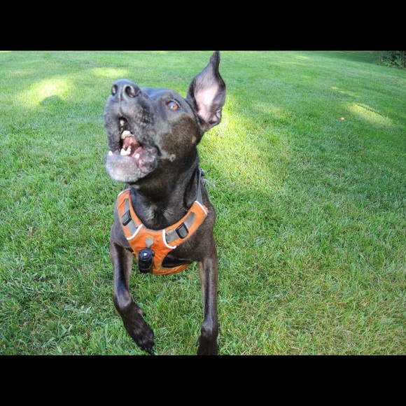 Meet Your Posher - Picture 7 of 8